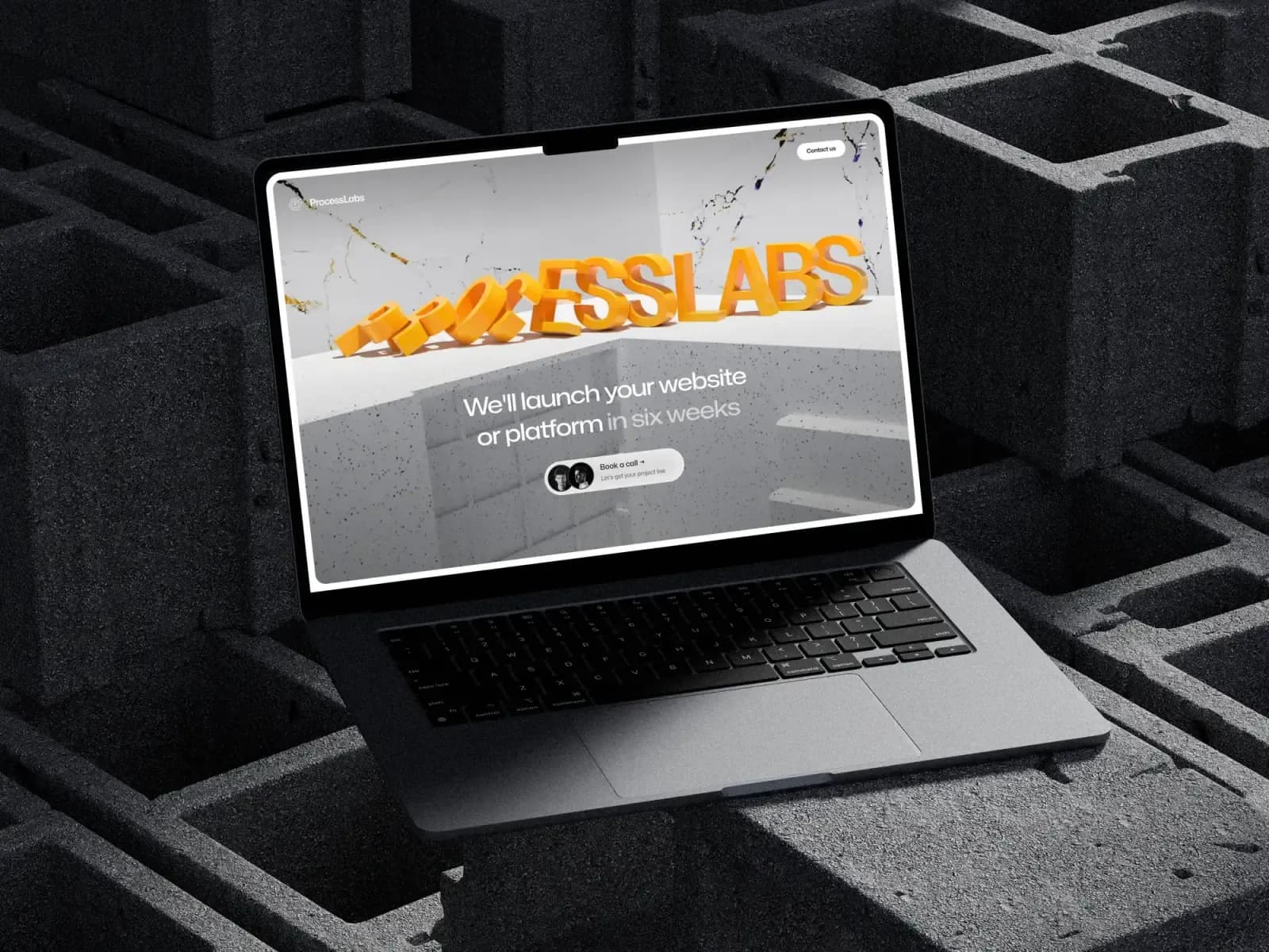 ProcessLabs website